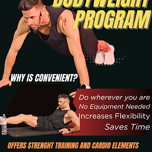 12 Week Bodyweight Program